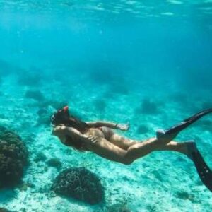 Beleef de Ultieme Snorkeltrip in het Midden van de Dag op Curacao