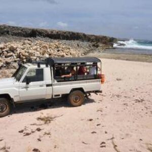 Ontdek de sensatie van het Nationaal Park Off-Road avontuur op Curaçao Ontdek de ongetemde schoonheid van Curaçao met Jan Thiel Diving Curaçao staat bekend om zijn prachtige stranden en bruisende onderwaterleven, maar het ruige binnenland van het eiland heeft geheimen die wachten om ontdekt te worden. Het National Park Off-Road Adventure van Jan Thiel Diving biedt een opwindende manier om de wilde kant van Curaçao te verkennen, met een unieke mix van natuur, geschiedenis en avontuur. Op CuracaoTodo.com, jouw bron voor alle toeristische informatie, raden we je deze onvergetelijke reis door een aantal van Curaçaos meest adembenemende landschappen van harte aan.