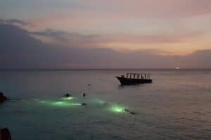 Ervaar de sensatie van een 1 Tank begeleide nachtduik bij Coral Divers op Curaçao