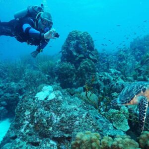 Duik in avontuur met Coral Divers: 1 Tank Begeleide Kustduik Huisrif