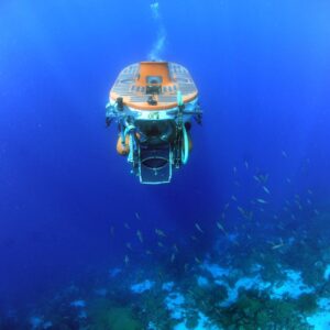 Adventure Dive Substation with Jan Thiel Diving