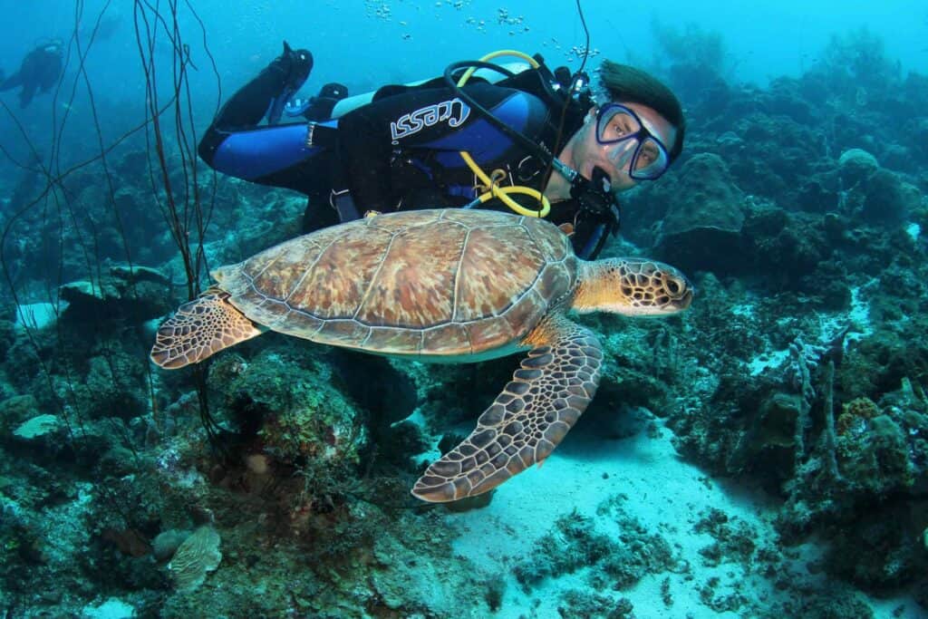 Dive into Paradise: Exploring Blue Bay Dive’s House Reefs in Curaçao