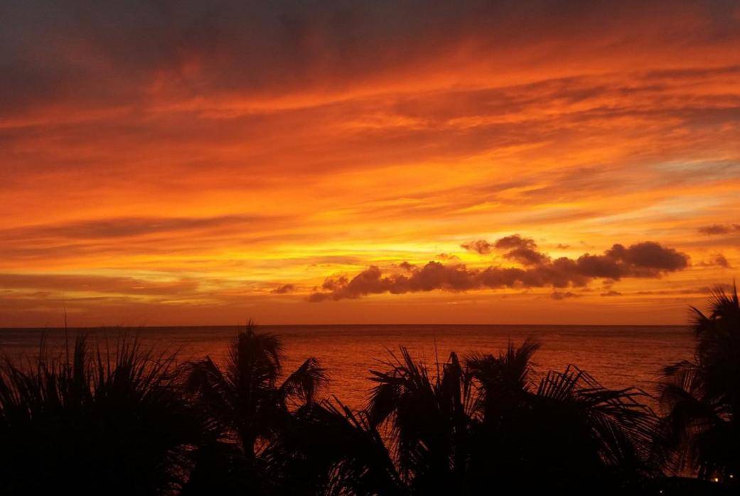 Private Boat Charters in Curaçao: Snorkeling, Diving, and Sunset Magic