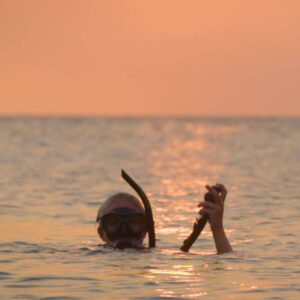 Ontdek de magie van nachtduiken op Curaçao