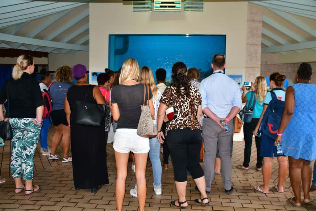 Unforgettable Group Events at Curaçao Sea Aquarium