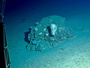 Plan je perfecte privé- of bedrijfsevenement op Curaçao