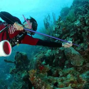 Duikervaring met Lionfish op Curaçao