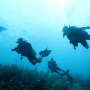 Complete Your Open Water Diver Certification in Paradise: The Referral Course in Curaçao