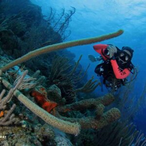 Discover the Ultimate Diving Experience with the 5 Days of 2 Tank Boat Diving in Curaçao