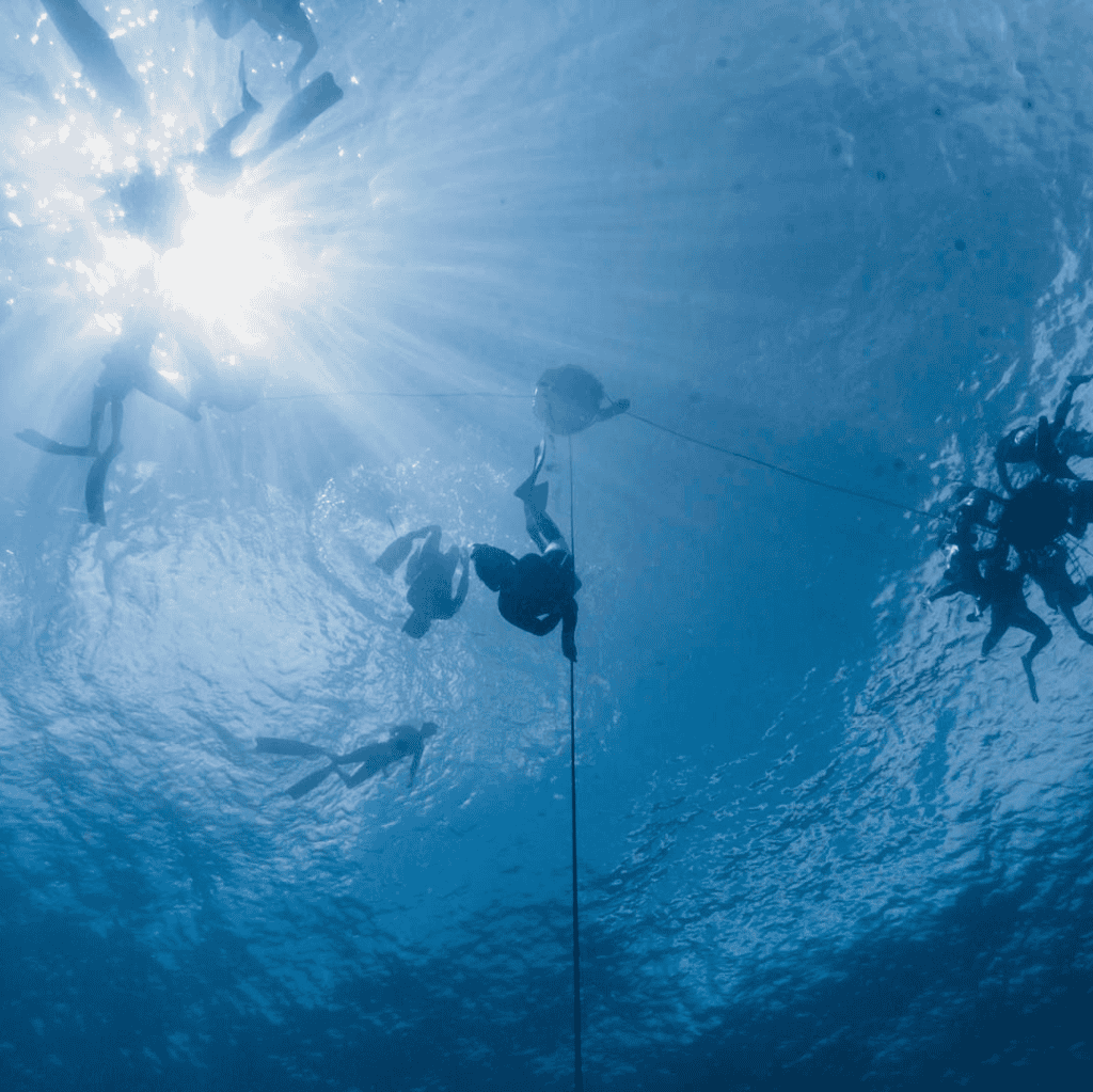 Dive into Serenity: Freedive Center Curacao