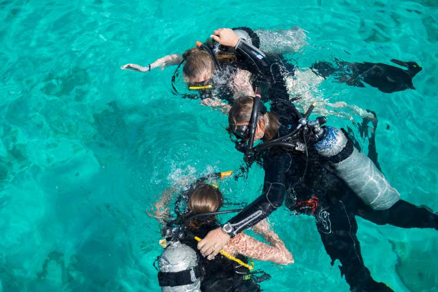 Ontdek duiken op Curaçao: Een onvergetelijk onderwateravontuur