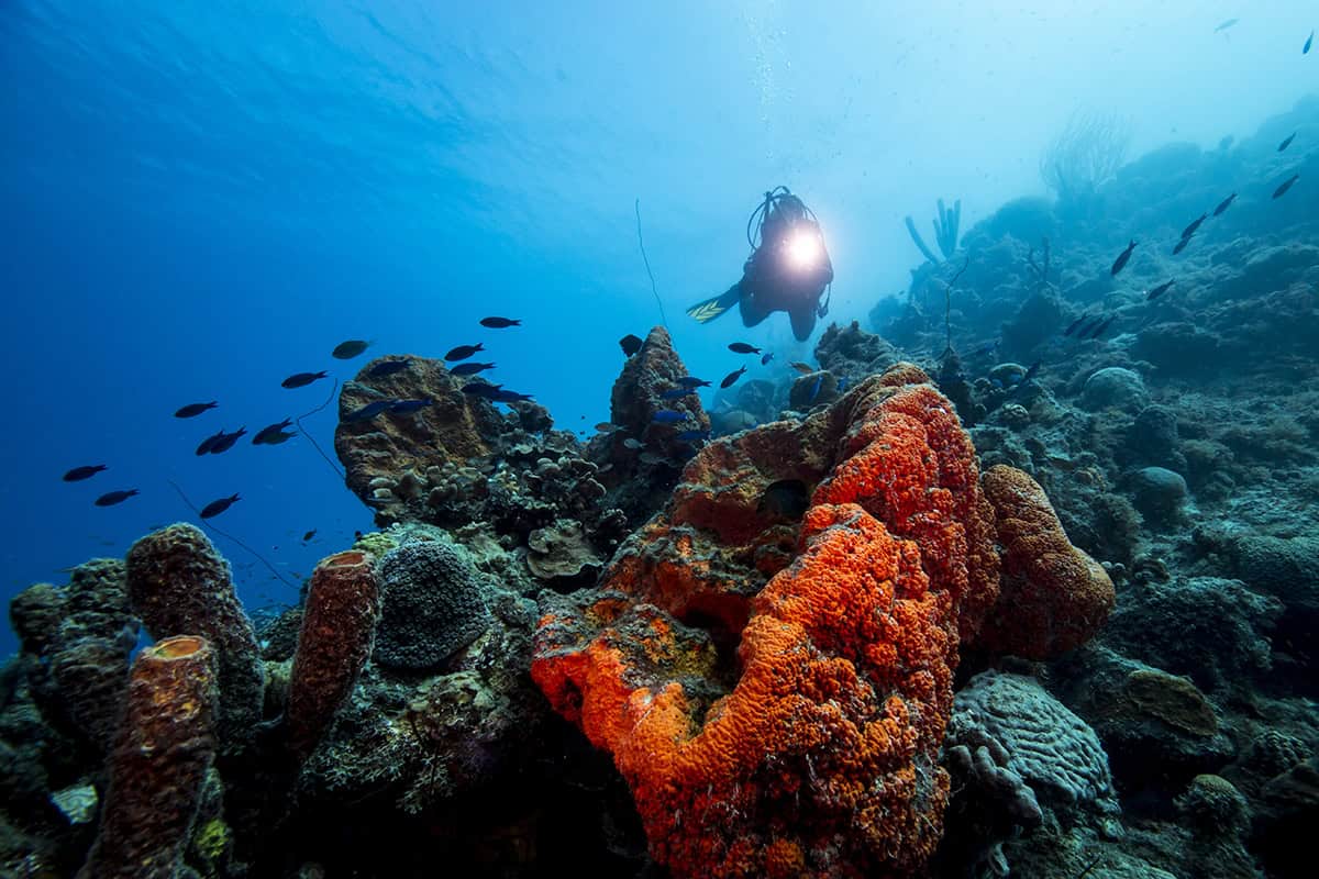 Boutique duiken op Curaçao: Een persoonlijke ervaring