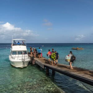 Explore the Best Dive Sites in Curaçao with Go West Diving