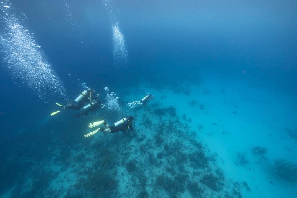PADI Rescue Diver Course in Curaçao