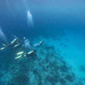 PADI Rescue Diver Course in Curaçao