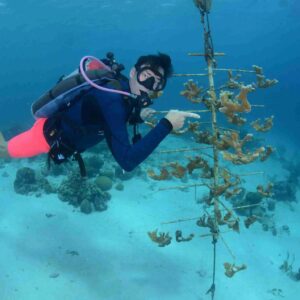 Dive for a Purpose: The PADI Reef Renewal Specialty Course in Curaçao