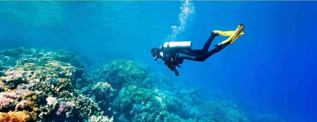 Dive Courses