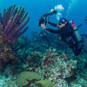 Dive into Adventure with the 1 Day Unlimited Shore Diving Package at Ocean Encounters