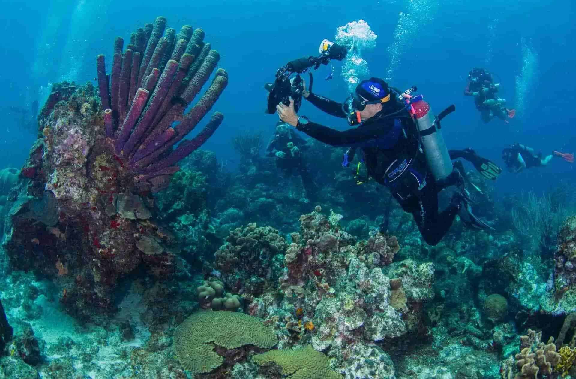 Dive into Adventure with the 1 Day Unlimited Shore Diving Package at Ocean Encounters