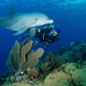 6 Days of 2 Tank Boat Diving in Curaçao with Ocean Encounters