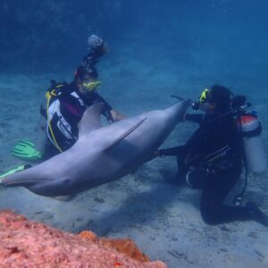Duik in avontuur met CURious 2 DIVE op Curaçao