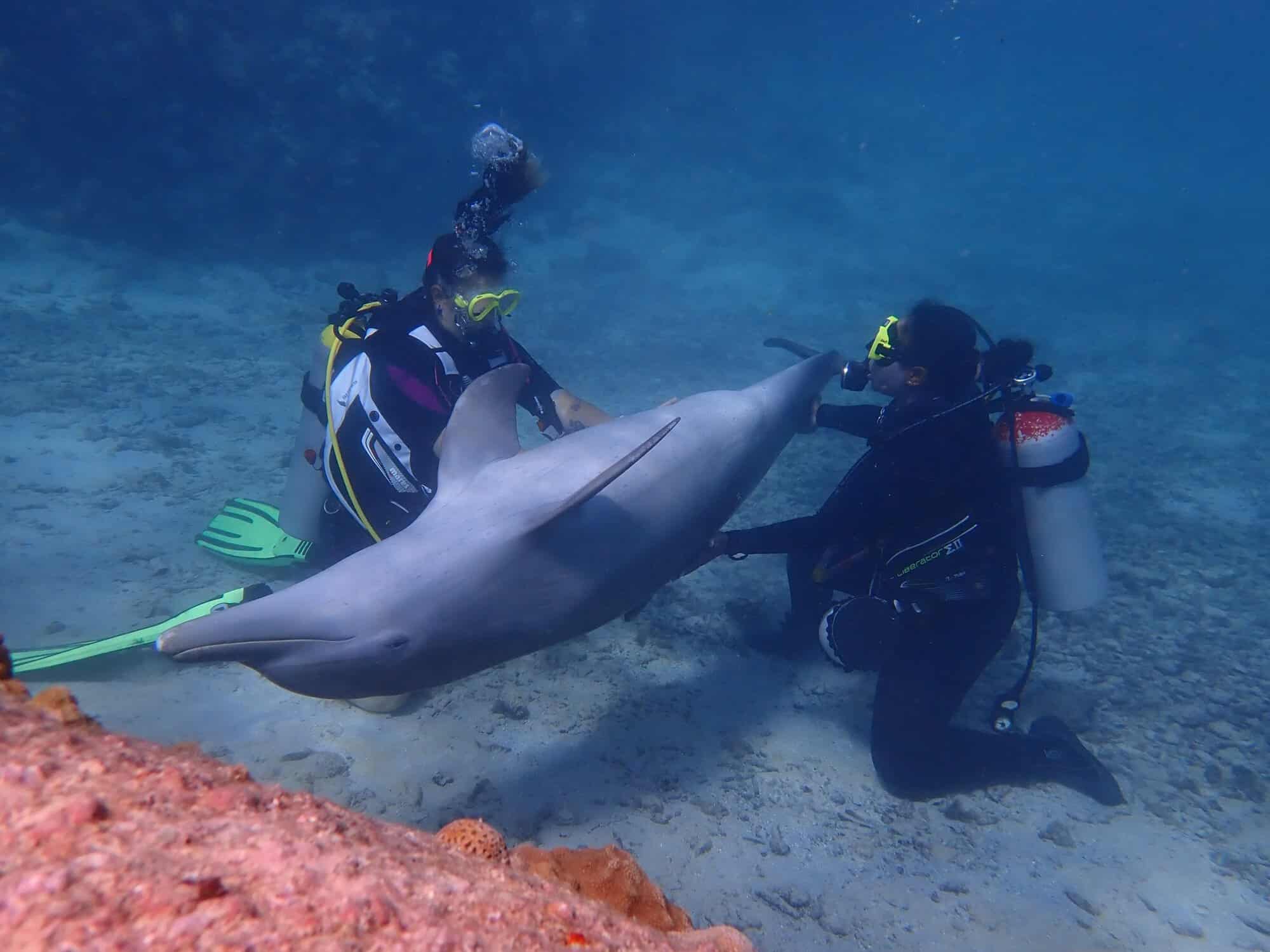 Duik in avontuur met CURious 2 DIVE op Curaçao