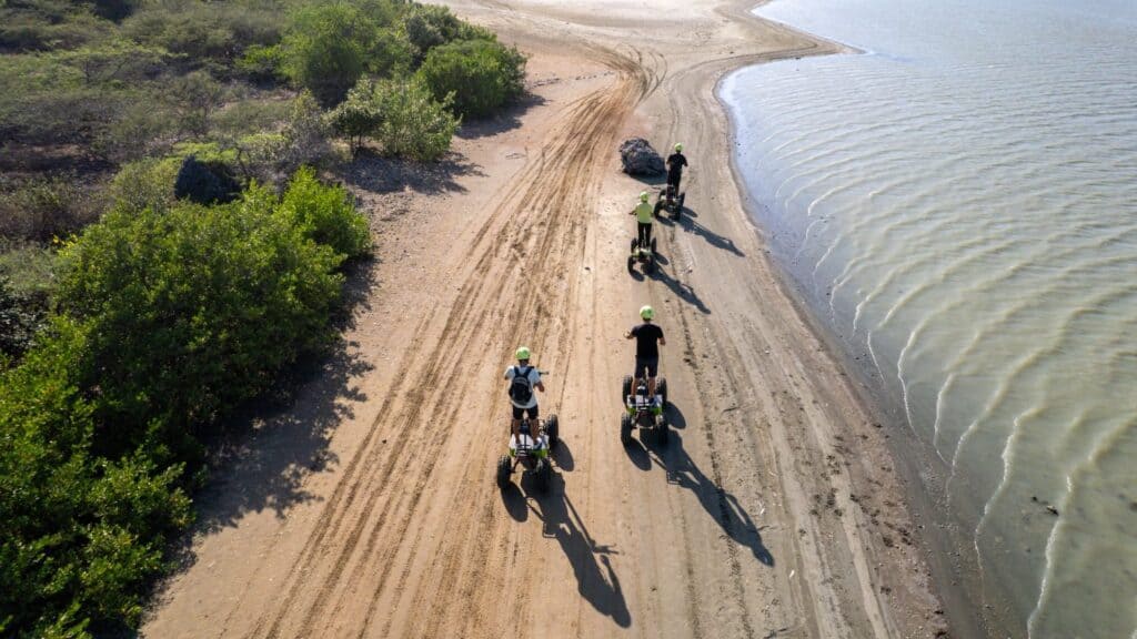 A group of five in helmets enjoys a sunny guided offroad tour on electric stand up quads, riding along a sandy beach near the water with greenery on one side and visible tire tracks in the sand, seen from above.