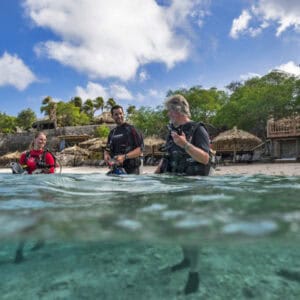Dives into Paradise: Exploring Alice in Wonderland Reef in Curaçao