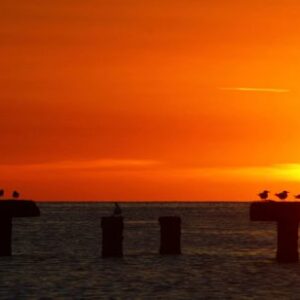 Explore the Best Diving Adventures in Curacao with Sun Reef