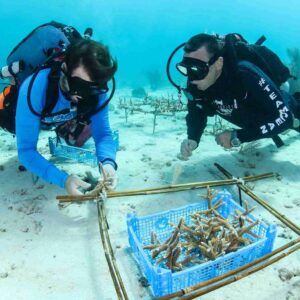 Guided Shore Diving at LionsDive Beach Resort