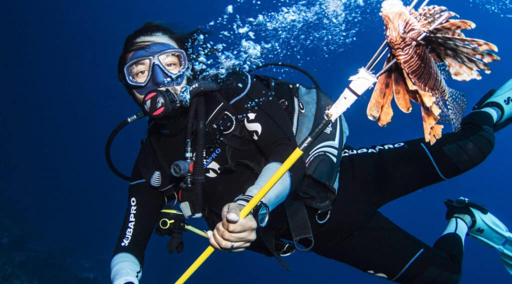Lionfish Hunting Specialty in Curaçao