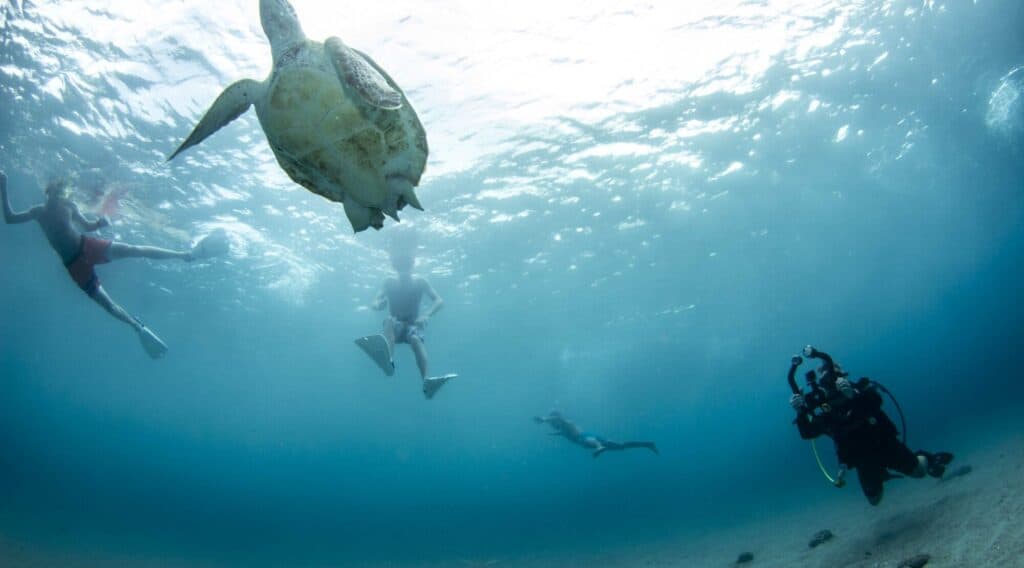 Discover the Beauty of Curaçao with the Full-Day Snorkel West Trip