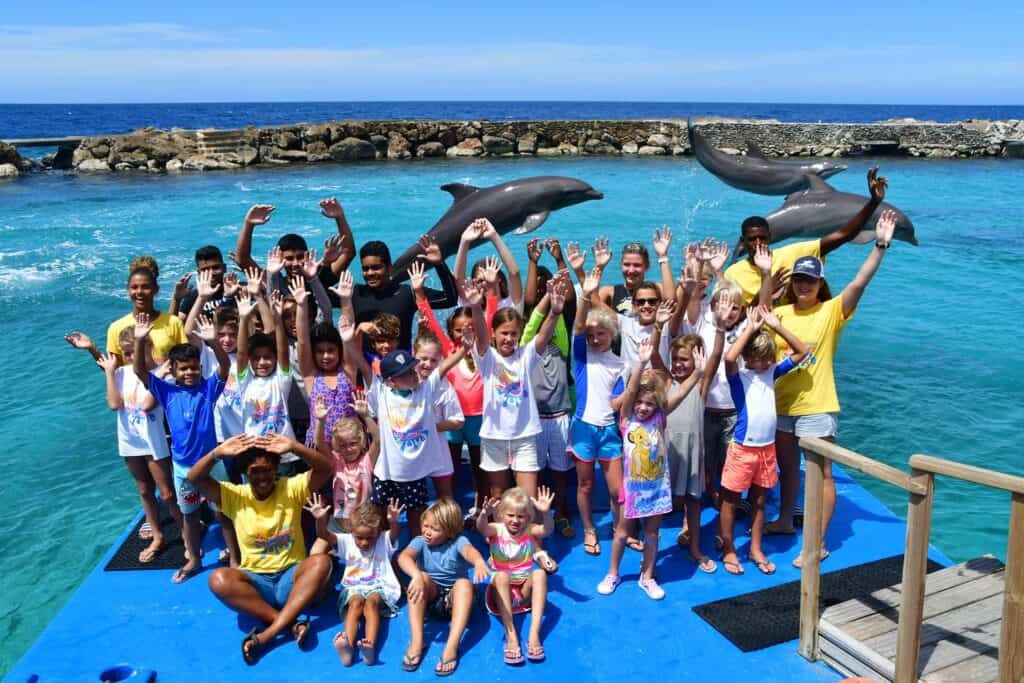Ontdek Groepsavonturen bij Dolphin Academy Curaçao