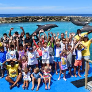Ontdek Groepsavonturen bij Dolphin Academy Curaçao