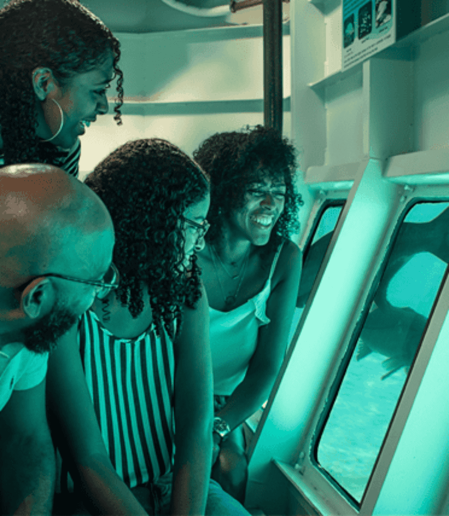 Experience the Ocean Lens at Curaçao Sea Aquarium