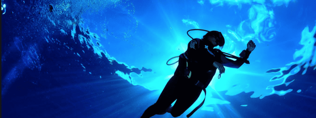 Become a PADI Divemaster in Curacao: Your Path to Professional Diving