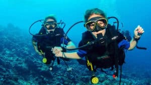 Discover the Underwater World of Curaçao: Your First Introduction to Diving