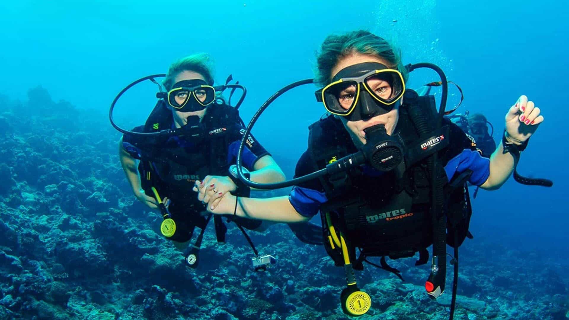 Discover the Underwater World of Curaçao: Your First Introduction to Diving