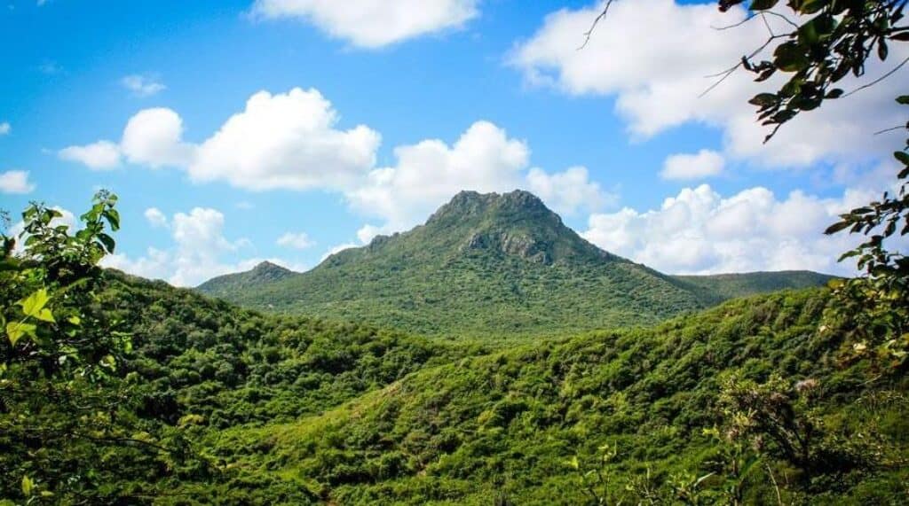 Ontdek de wonderen van Curaçao: Jouw gids voor het verkennen van het park en museum