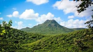 Discover the Wonders of Curaçao: Your Guide to Exploring the Park & Museum
