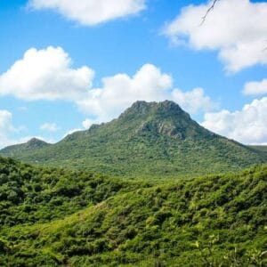 Discover the Wonders of Curaçao: Your Guide to Exploring the Park & Museum