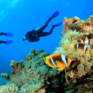 Refresh Dive Course at Tug Divers Curaçao: Rediscover the Underwater World