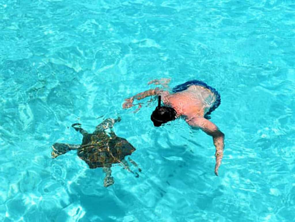 Schildpadden Outback & Grotten Safari: Een onvergetelijk avontuur op Curaçao