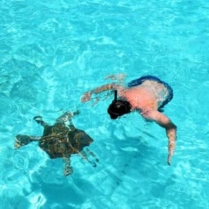 Schildpadden Outback & Grotten Safari: Een onvergetelijk avontuur op Curaçao