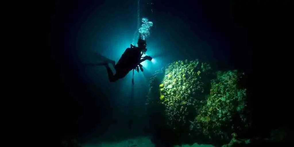 Experience the Thrill of a Night Boat Dive with Ocean Encounters in Curaçao