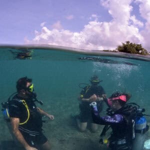 Introductie duiken op Curaçao: Je eerste stap in de onderwaterwereld