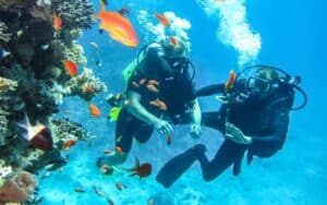 Dive into Adventure: Guided Diving Experiences in Curaçao