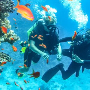 Dive into Adventure: Guided Diving Experiences in Curaçao