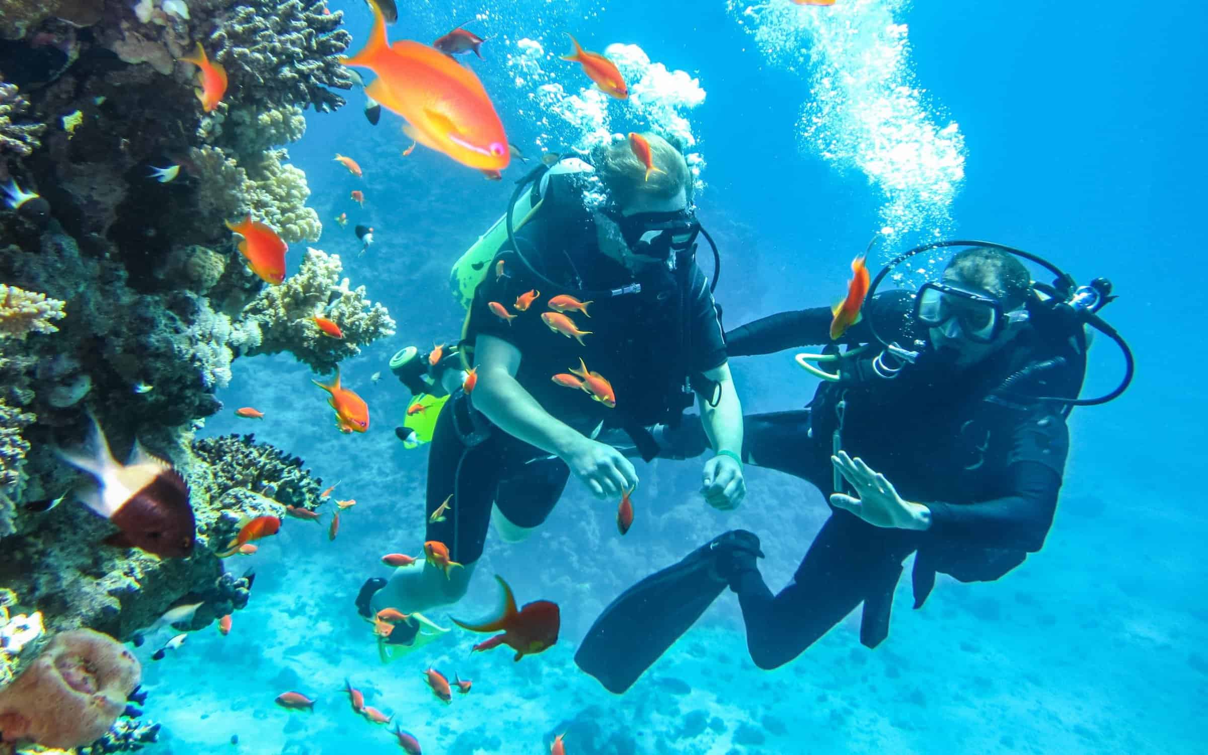 Duik in avontuur: Begeleide duikervaringen op Curaçao