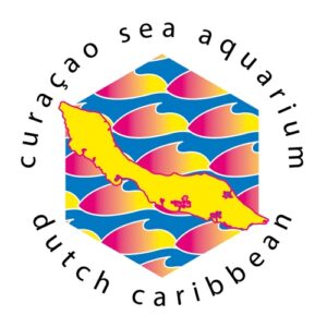 Ontdek het spannendste snorkelavontuur van Curaçao